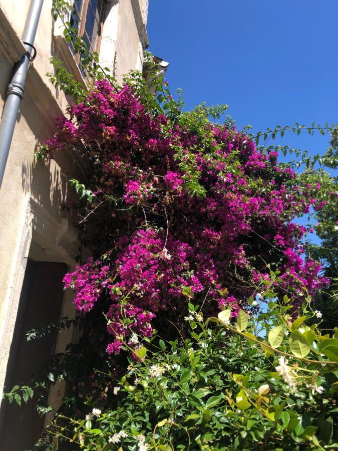 L' Ilot Des Iles Bed & Breakfast Cuxac-dʼAude Exterior foto
